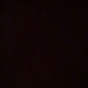 Meet your Posher, Margot